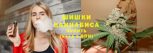 шишки Белоозёрский
