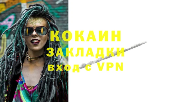 шишки Белоозёрский