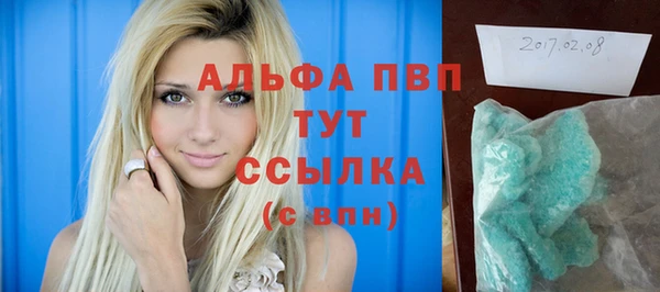 шишки Белоозёрский