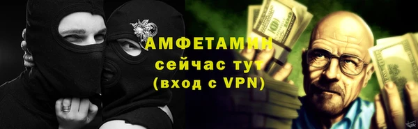 шишки Белоозёрский