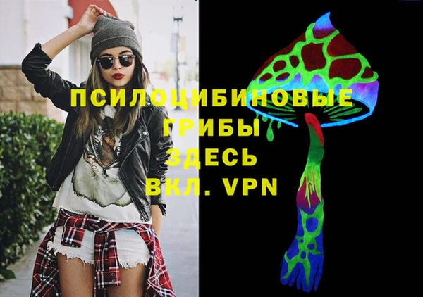 тгк Беломорск