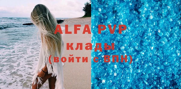 шишки Белоозёрский
