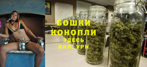 mdpv Белокуриха