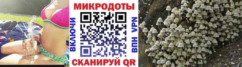 Галлюциногенные грибы мухоморы  магазин продажи наркотиков  Сердобск 